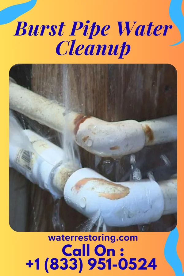 Burst Pipe Water Cleanup in Oak Hills, OR
