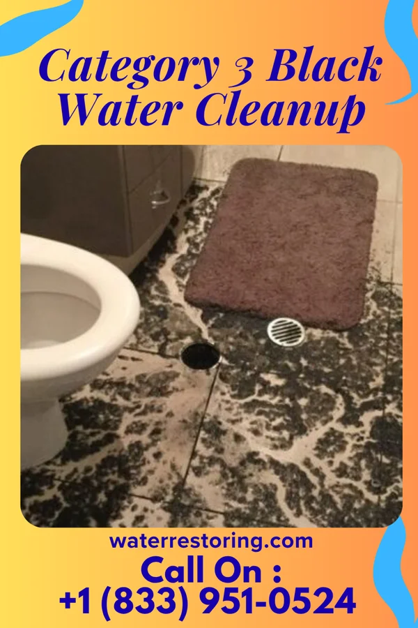 Category 3 Black Water Cleanup in Oak Hills, OR
