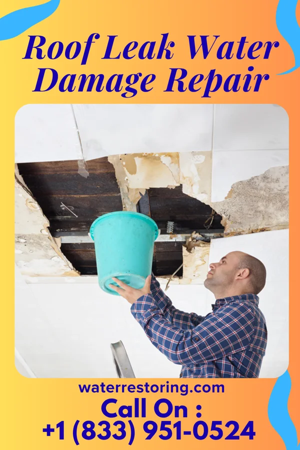 Roof Leak Water Damage Repair in Oak Hills, OR